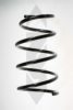 SPIDAN 56781 Coil Spring